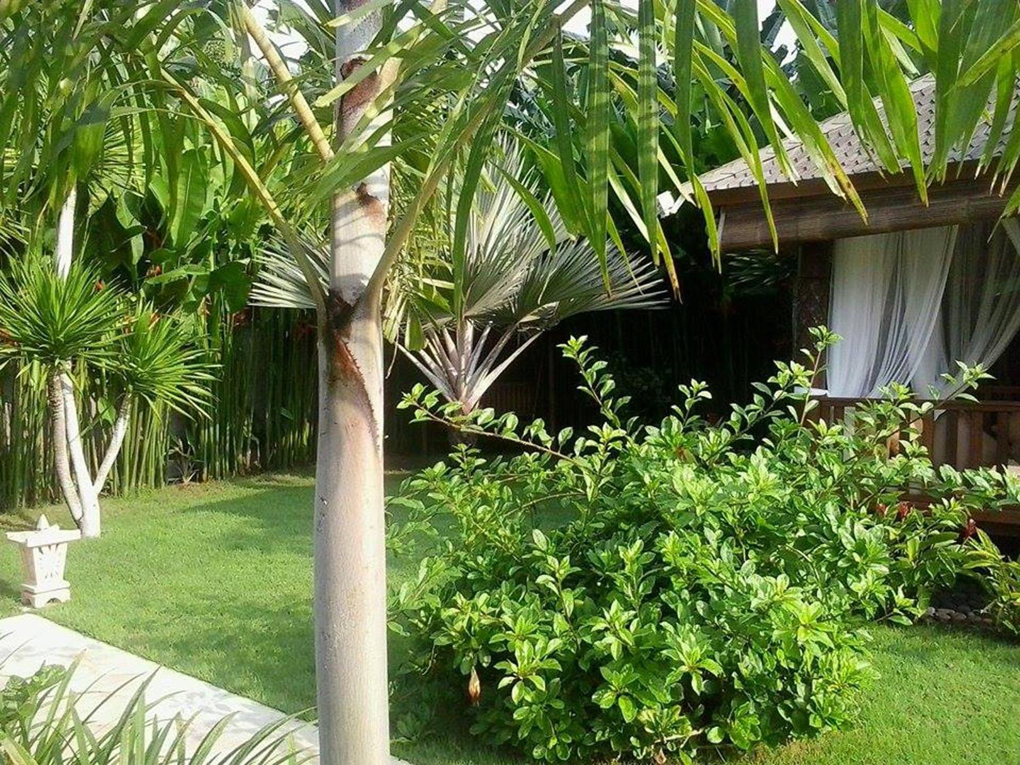 Villa Gusmania Candidasa Quarto foto